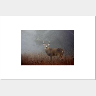 Big Buck - White-tailed deer Posters and Art